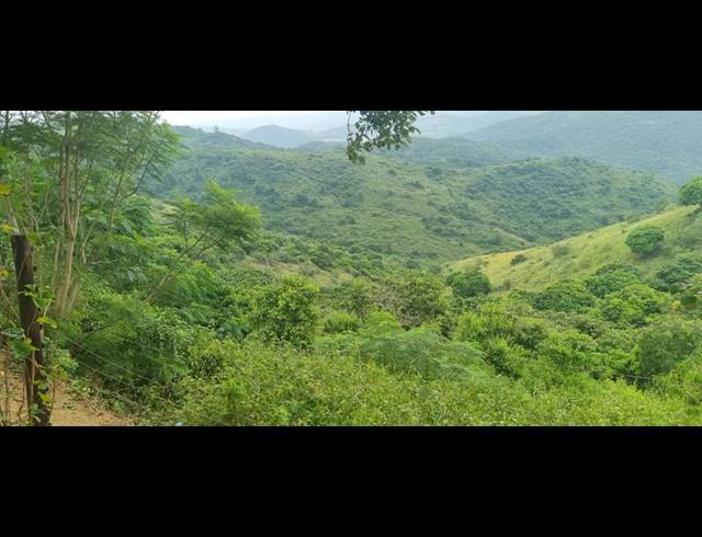 FARM FOR SALE IN MURCHISON